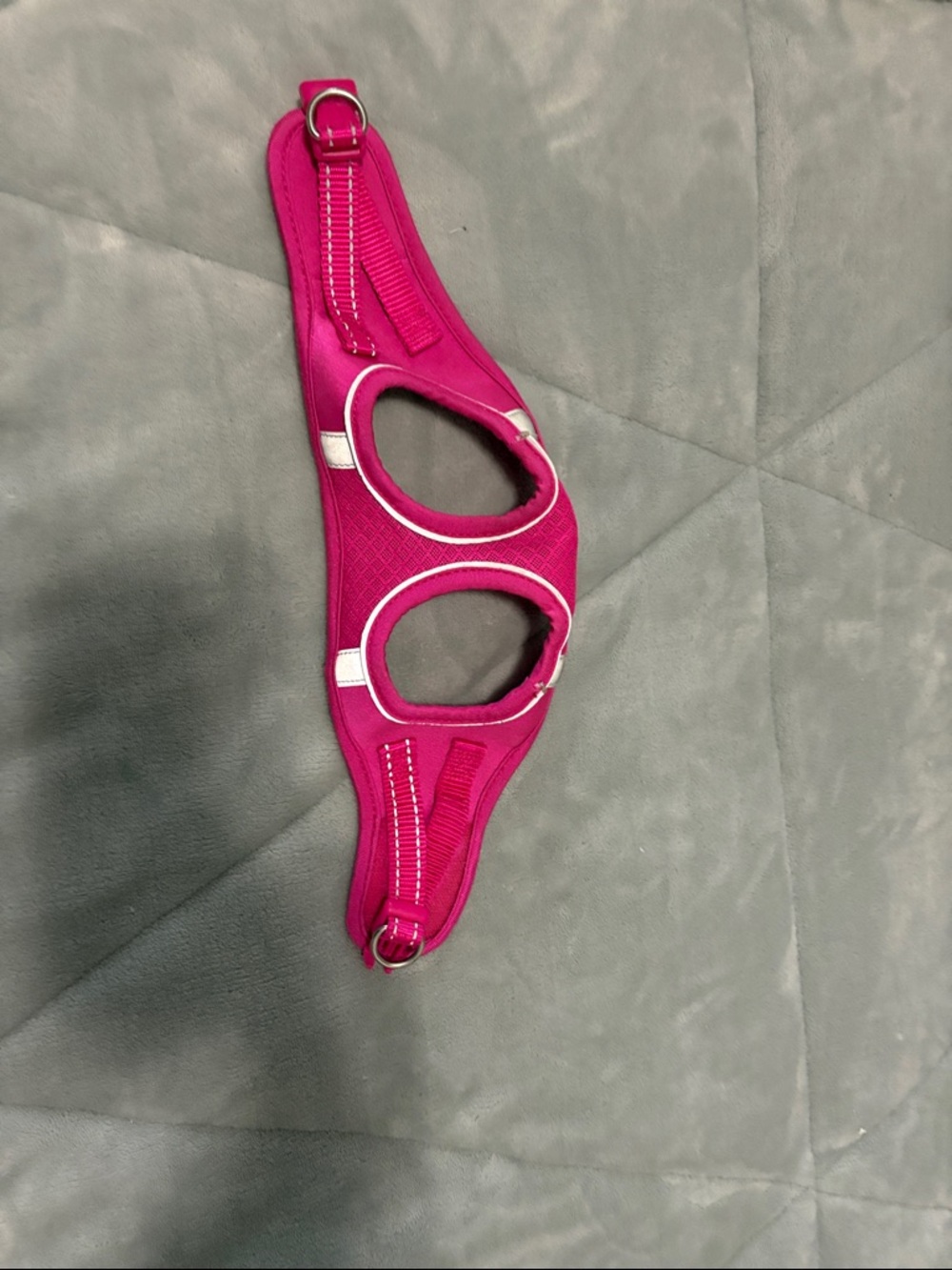 Dog harness